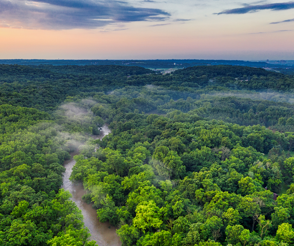 Digital transformation and sustainable IT solutions for modern businesses