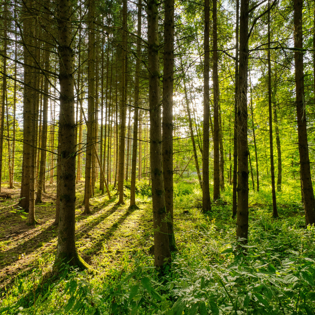 Cybersecurity dashboard showing threat detection and data protection systems